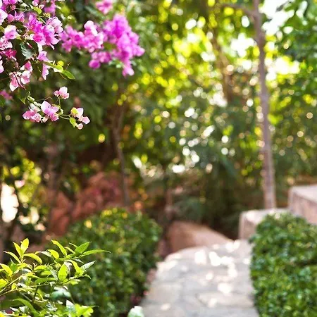 Sunny Garden Nilufer Hotel 호텔 3*