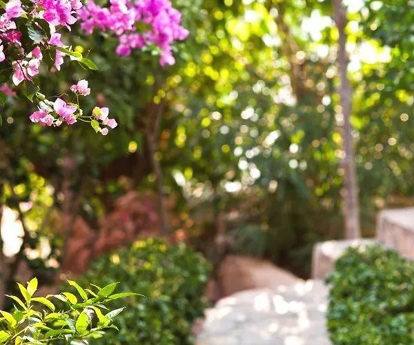 Mare Garden Hotell 3*