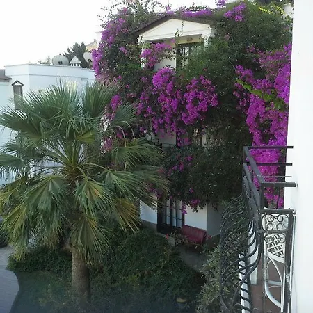 Отель Mare Garden